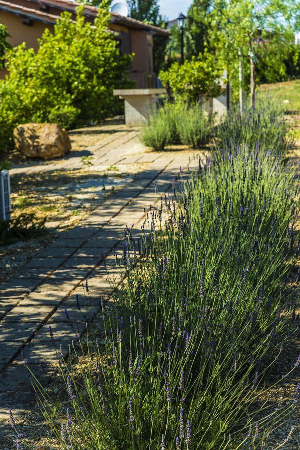 Agriturismo Poggio Di Maremma Pescia Romana Esterno foto